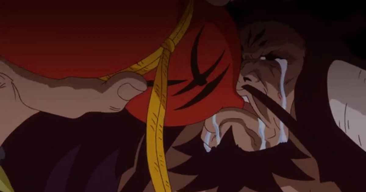 The glimpse of kaido's past