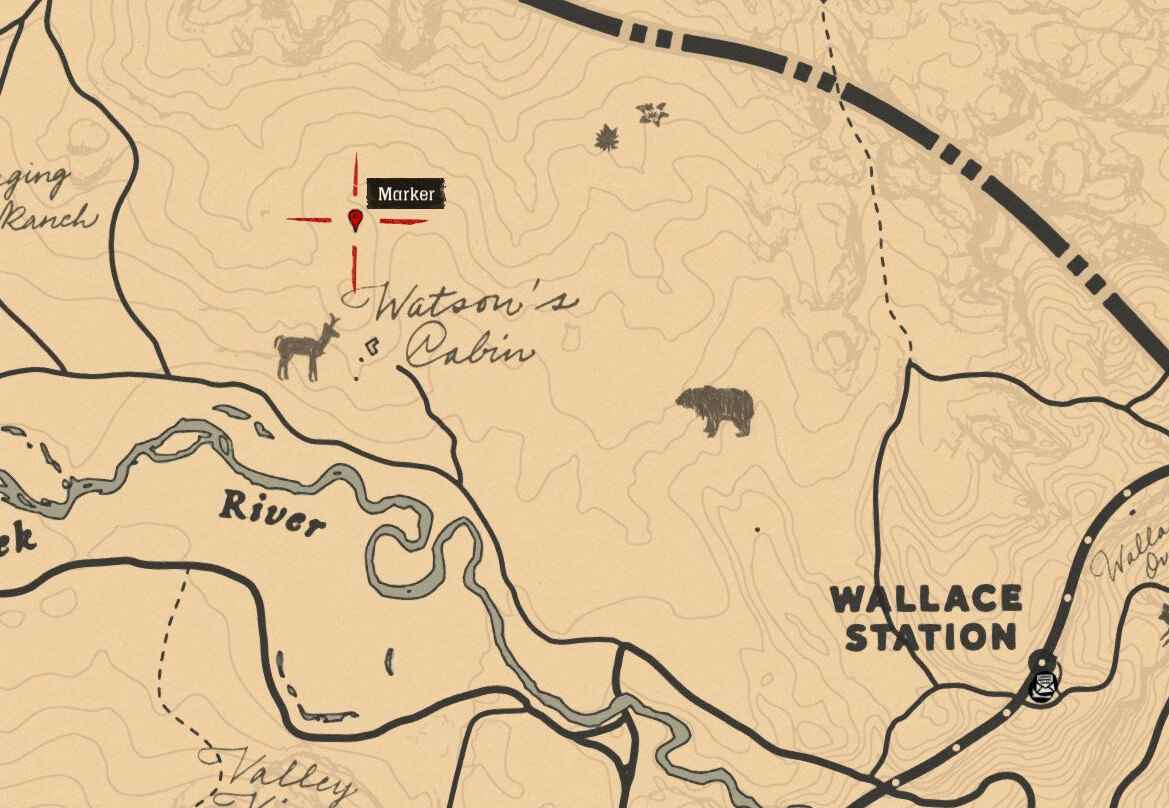 American Black Bear Location