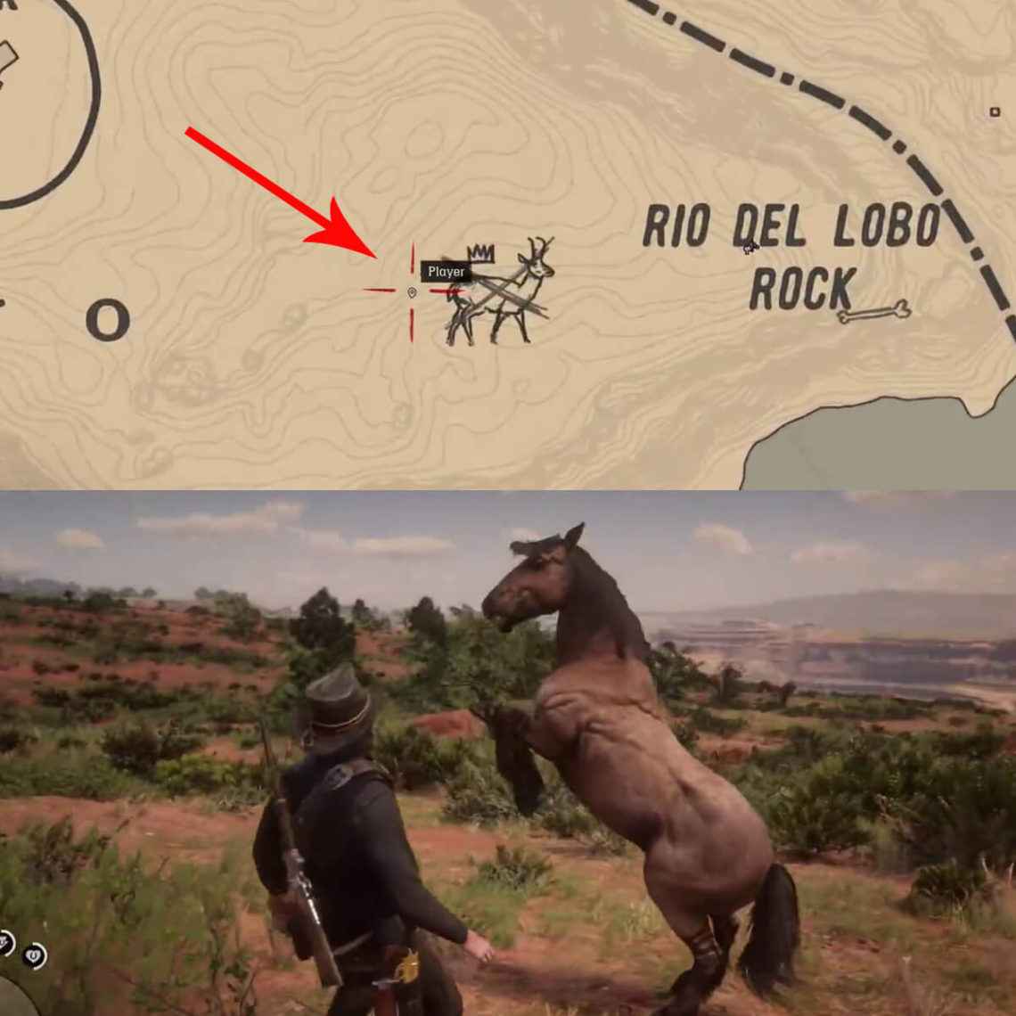 Where To Find Tiger Striped Mustang Rdr2
