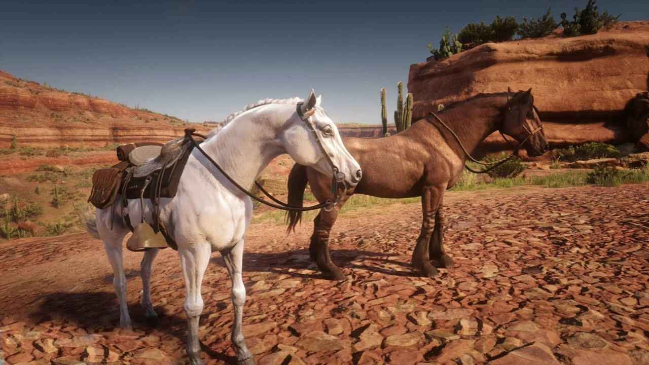 White Wild Arabian and Tiger-Striped Bay Wild Mustang