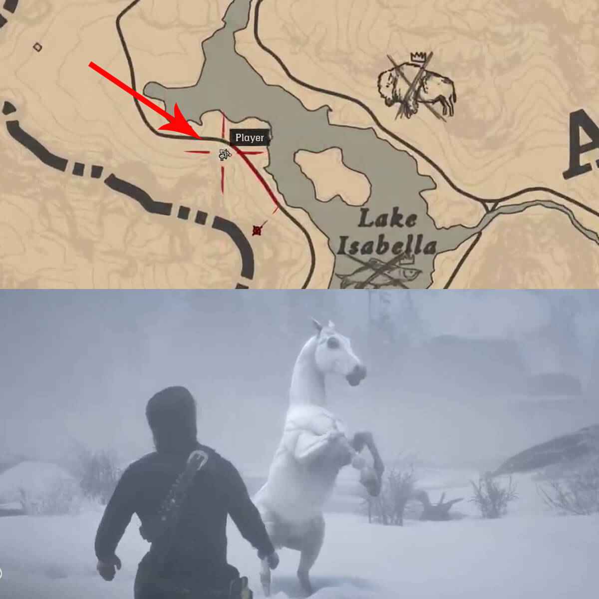 Red Dead Redemption 2 White Wild Arabian