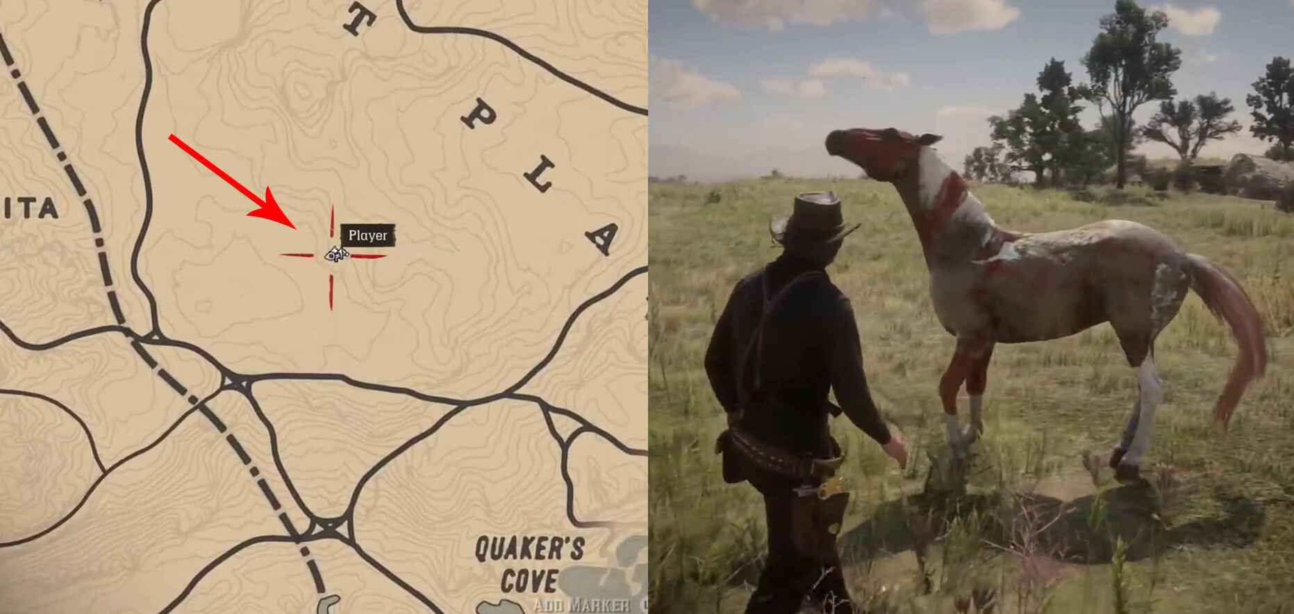 Localização do Wild Kentucky Saddler Spawn