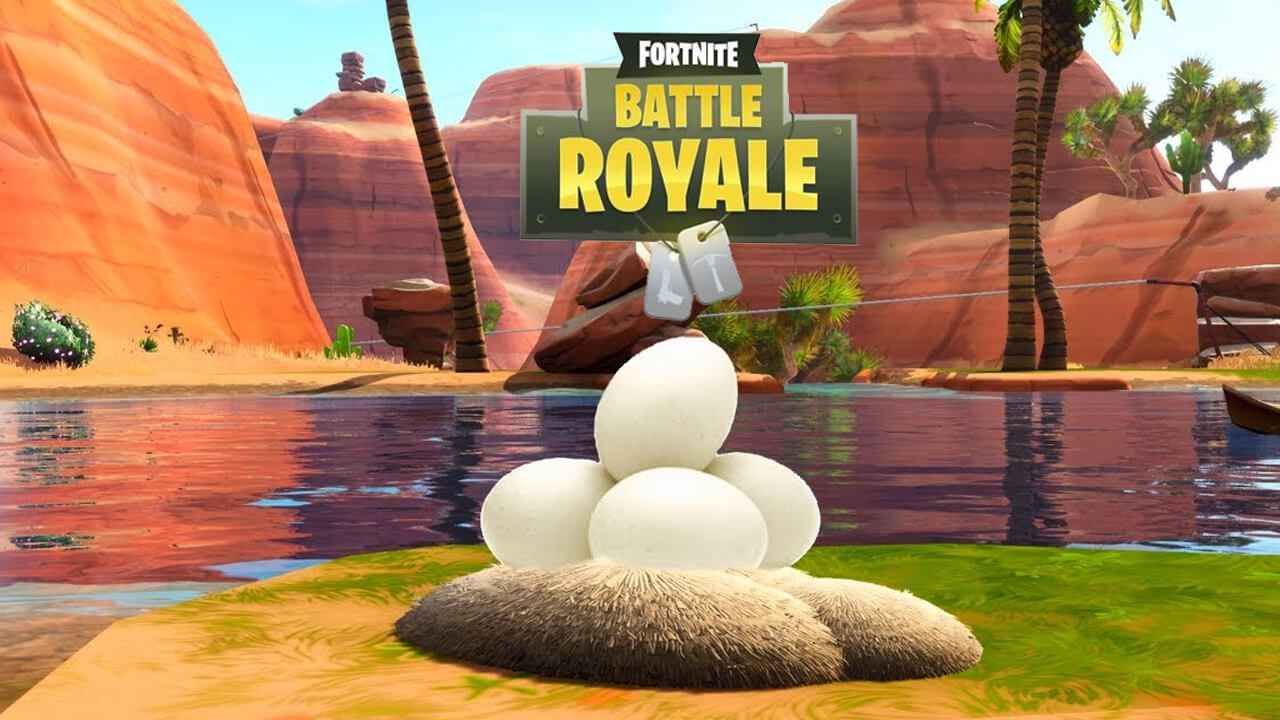 Posizioni dei nidi d'oca di Fortnite