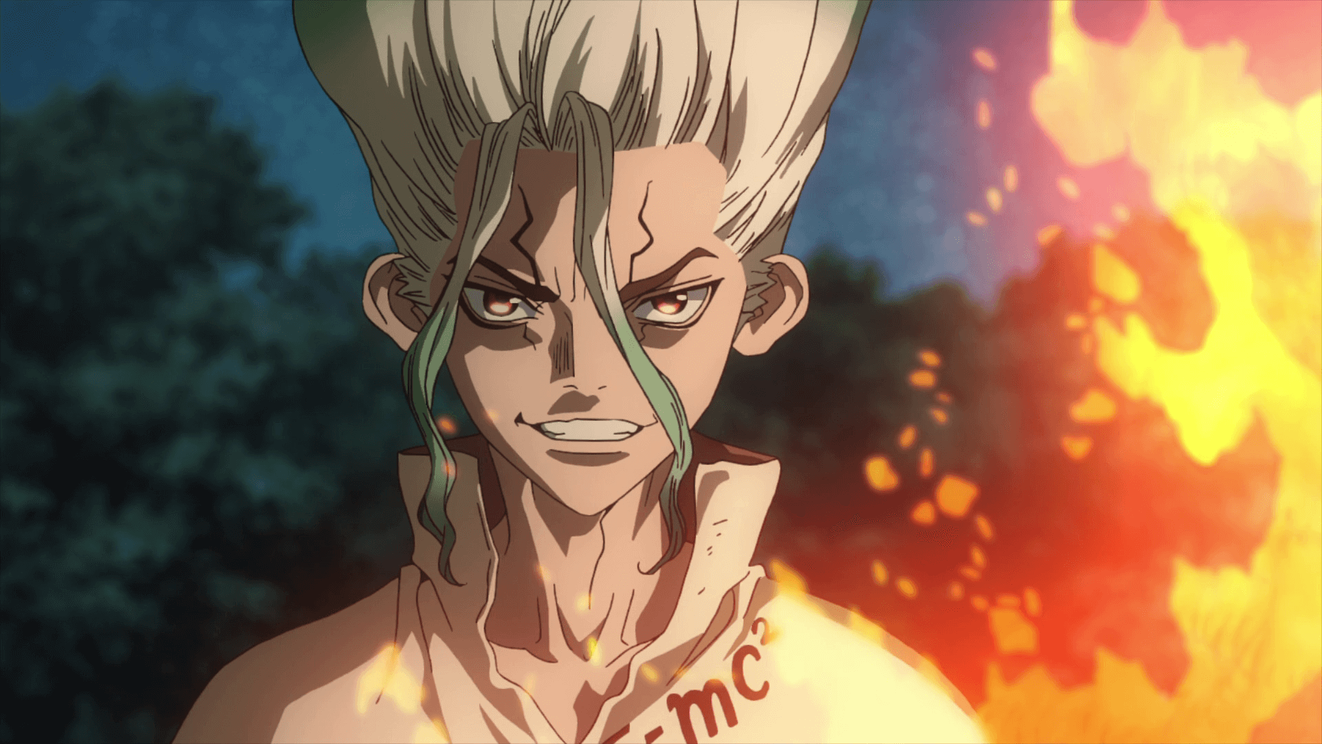 Dr. Stone