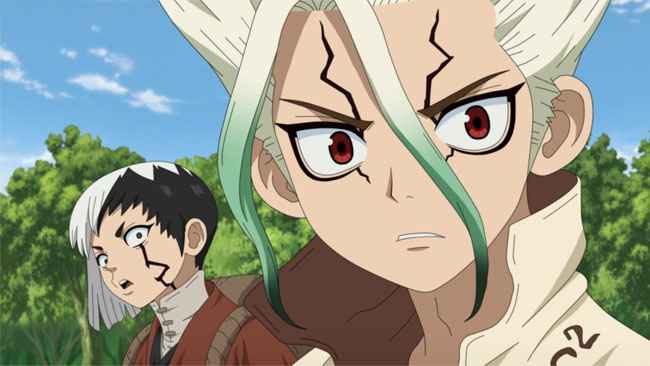 Dr. Stone