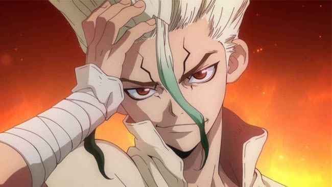 Dr. Stone