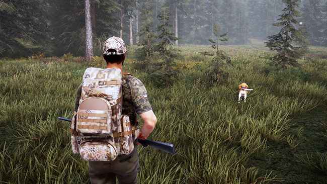 Hunting Simulator 2