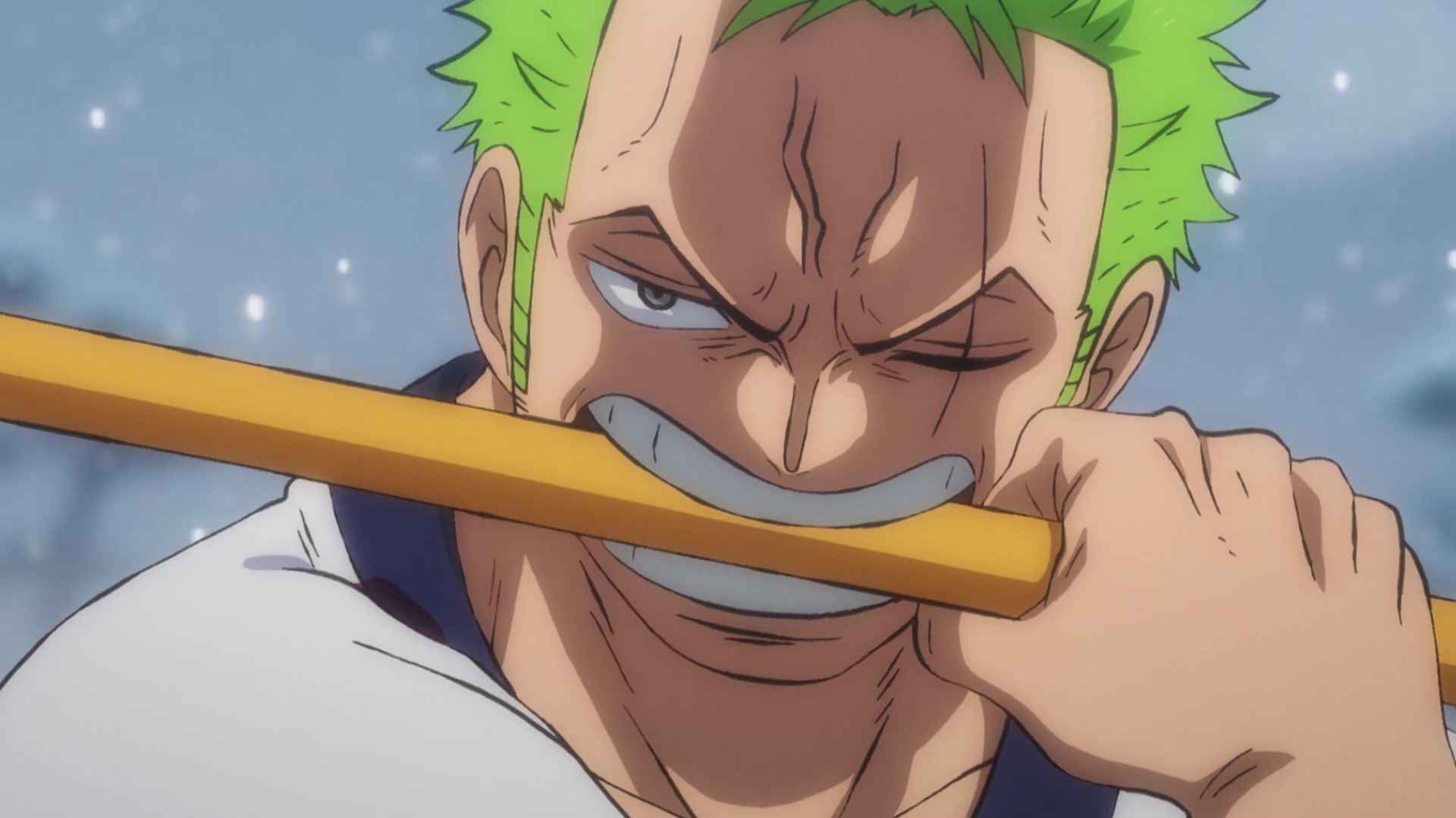 One piece episode 1005 release date and time