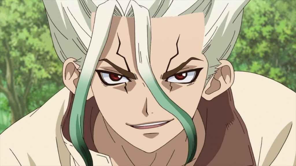 Dr. Stone