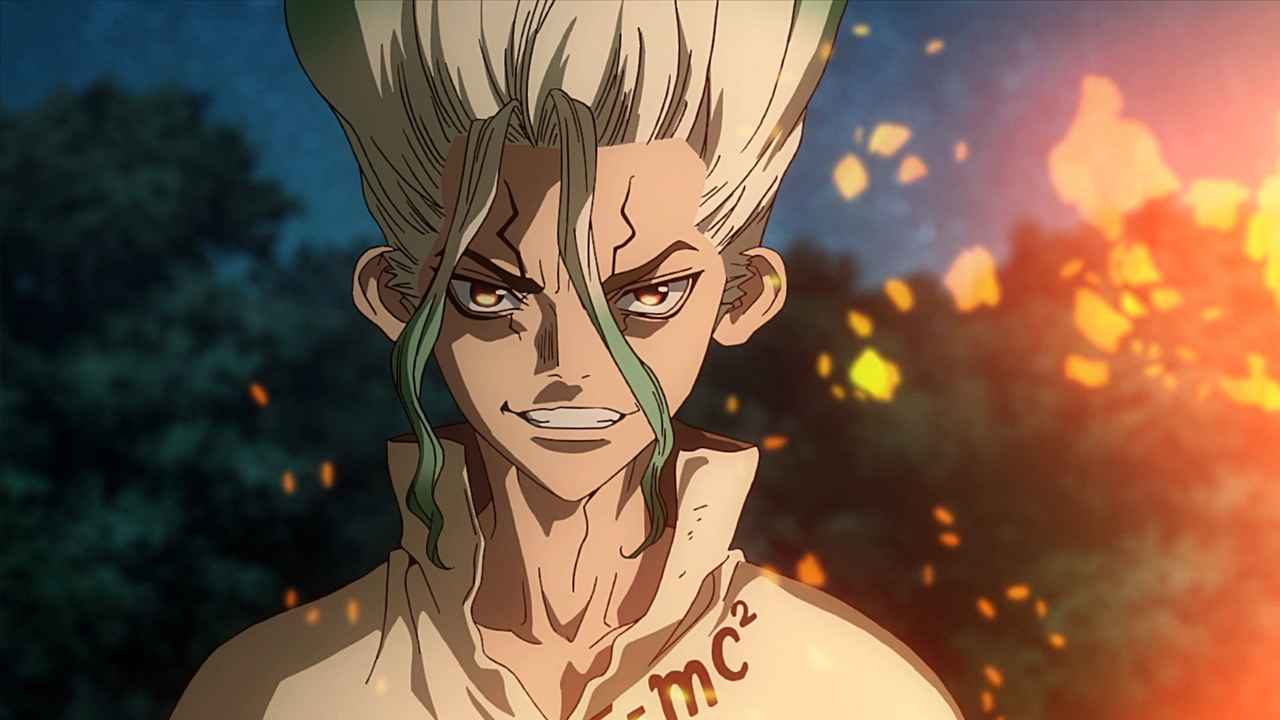 Dr. Stone