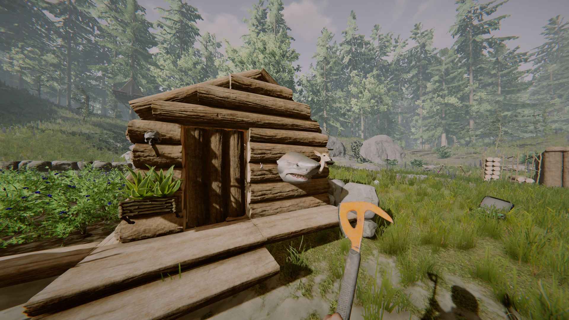 The Forest