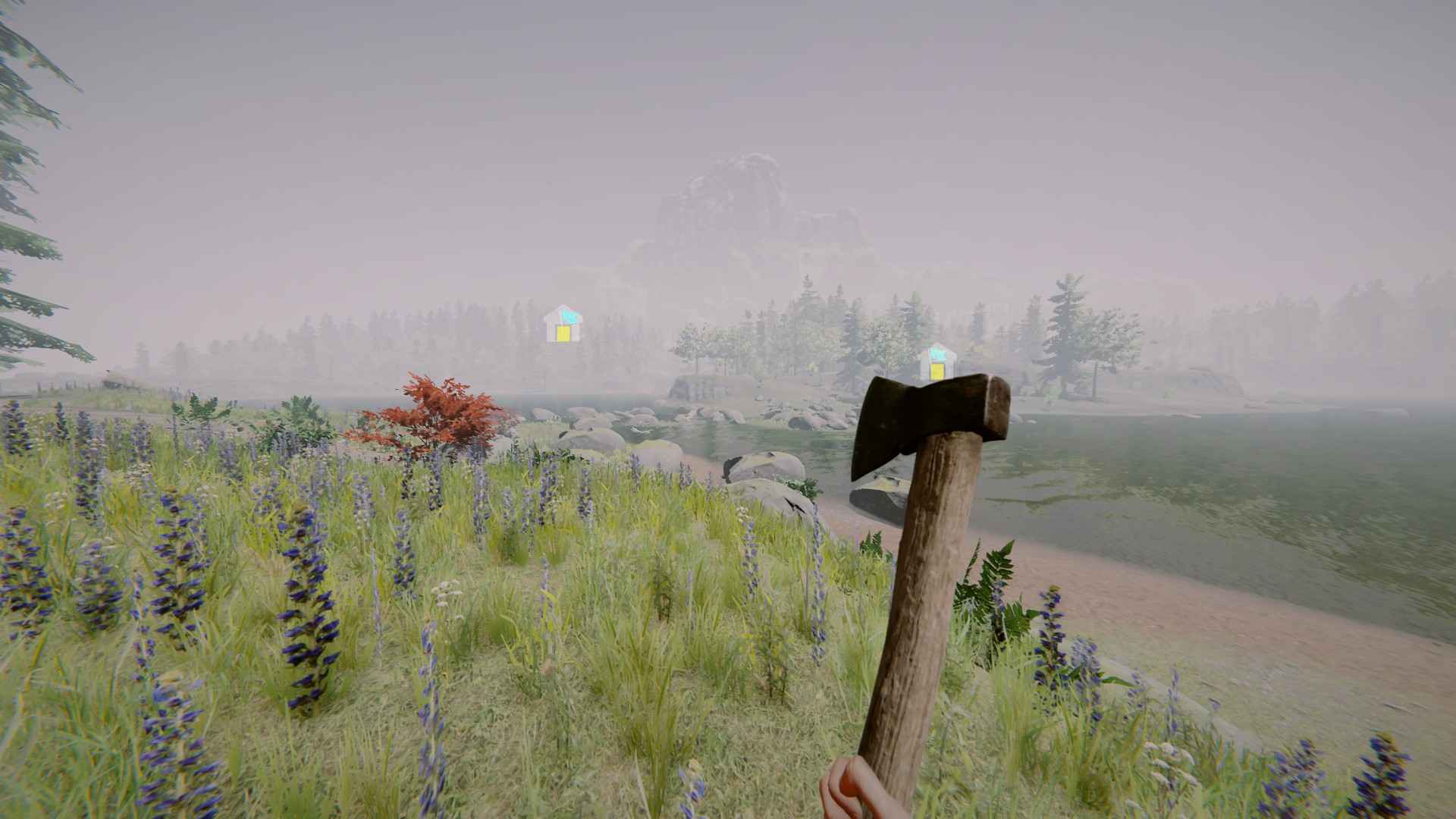 The Forest
