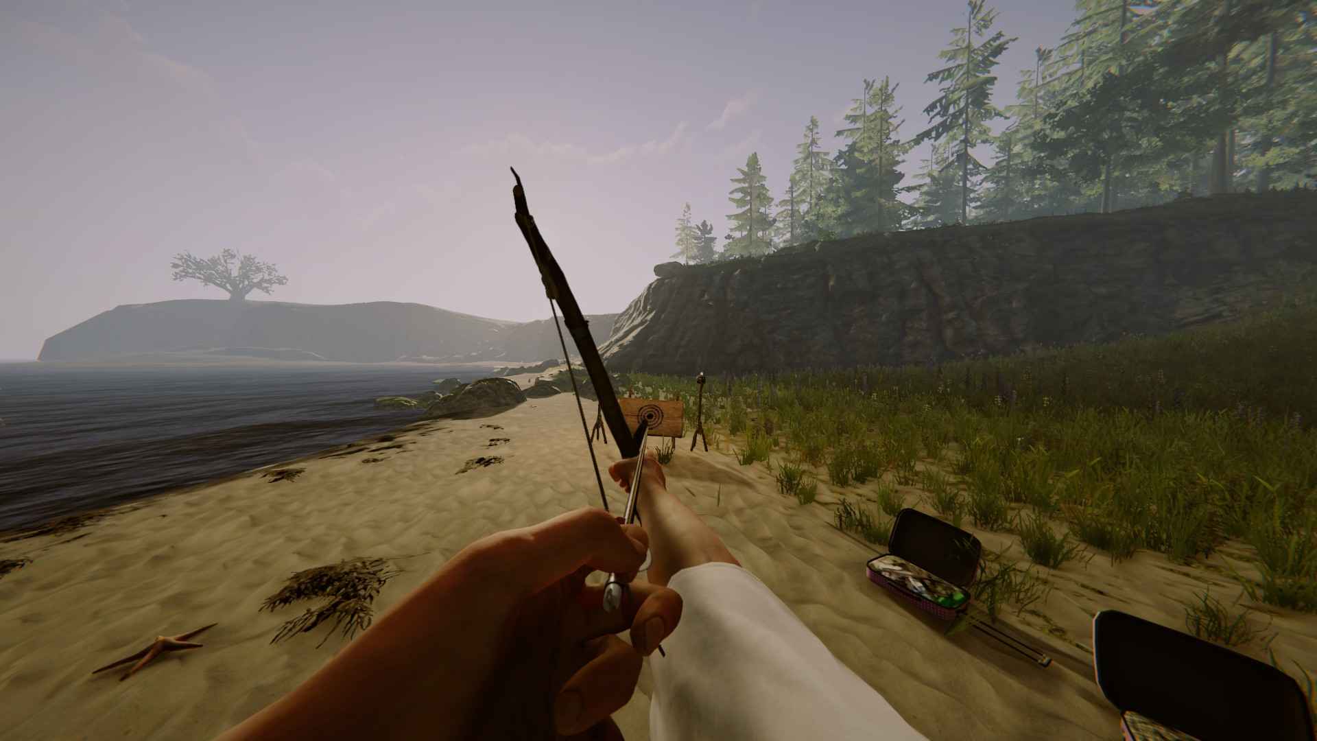 The Forest