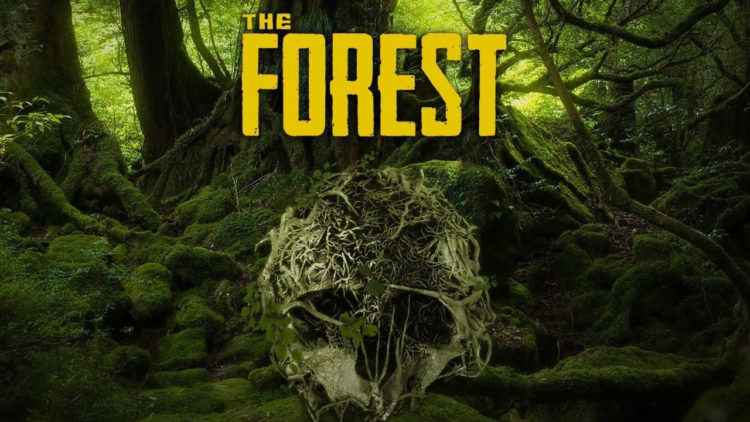 download the forest beginner guide