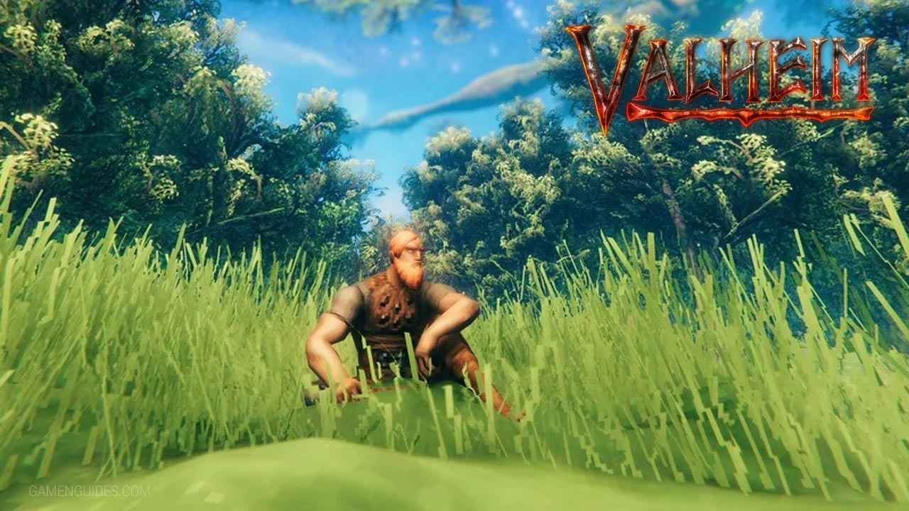 Valheim