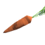 Valheim Carrot