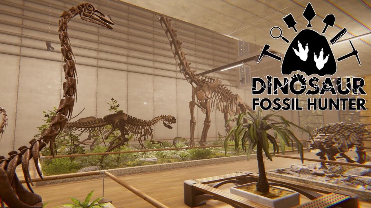 Cazador de fósiles de dinosaurio